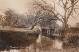 Image result for Byfleet Angling Club