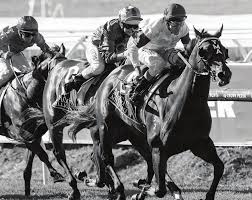 Image result for Bletchingly Badminton Club