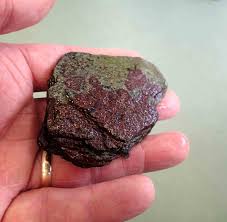 Attēlu rezultāti vaicājumam “Hildenbrandia rivularis”