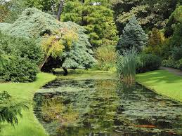 Image result for Arboretum Trompenburg