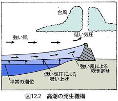 Image result for 高潮 津波 別物