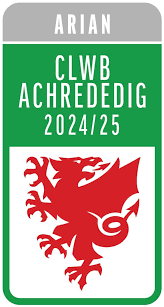 Image result for Fleur De Lys Football Club