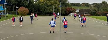 Image result for Wombles Netball Club