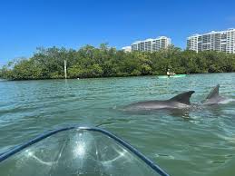 Image result for Dacorum Adventure Club