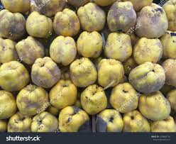 Attēlu rezultāti vaicājumam “Cydonia oblonga fruit”