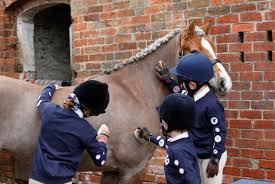 Image result for Blackpool & Fylde Horse Club