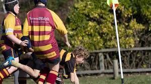 Image result for Ipswich Ym Rugby Union Football Club