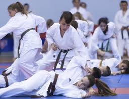 Image result for Nottingham Sankukai Karate