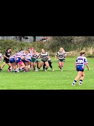 Image result for Hull Dockers Rugby League Football Club