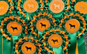 Image result for Blackpool & Fylde Horse Club