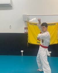 Image result for Silat Perisai Diri Classes Club