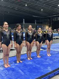 Image result for Ingleby Gymnastics Club