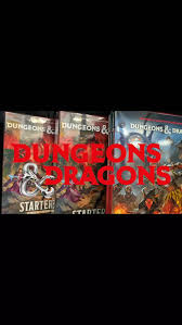 Image result for leicester dragons