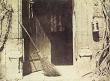 עפרון הטבע – ויקיפדיה