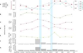 Image result for Vazella pourtalesii