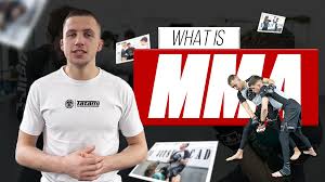 Image result for Swansea Taekwondo Club