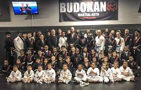 Image result for Blackpool Budokan Martial Arts