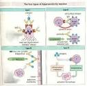 DE <b>HIPERSENSIBILIDADE</b>