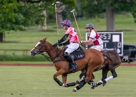 Image result for Kirtlington Park Polo Club