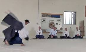 Image result for Aikido - Shobu UK (Newton in furness)