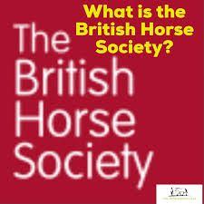 Image result for British Horse Society