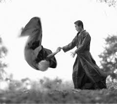 Image result for Budo Shin Ryu Kempo Jujitsu Academy