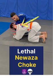 Image result for Phoenix Star Judo Club