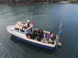 Image result for Luton British Sub Aqua Club