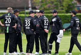 Image result for Witham Cricket Club