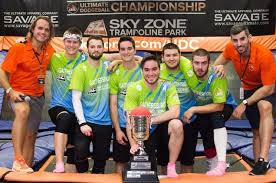 Image result for The Dodgeball Company