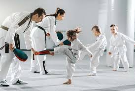 Image result for Devines Martial Arts