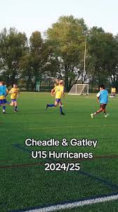 Image result for Cheadle & Gatley F C
