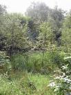 A very confusing place to be on one search for a Missing Person in this - via Daymix