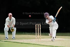 Image result for Marnhull Cricket Club