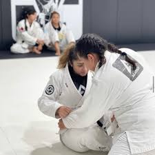 Image result for Derwent Valley Ju-Jitsu Academy