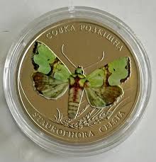 Attēlu rezultāti vaicājumam “Staurophora celsia”