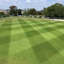 Image result for Cowes Sports Football Club