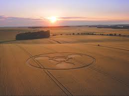 Image result for crop circles