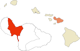 「VHAPUNI　MAO」の画像検索結果