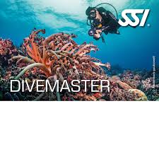 Image result for Looe Diving Club