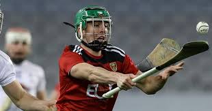 Image result for Rostrevor Hurling Club