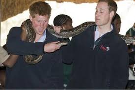 Image result for "John Somer" "Carina Lowers"