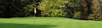 Image result for West Surrey Golf Club