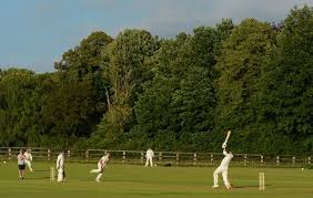 Image result for Alne Cricket Club