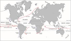 Image result for Chelon tricuspidens