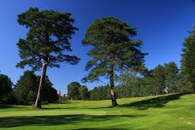 Image result for Blairbeth Golf Club