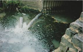 Image result for Millbrook Smbc