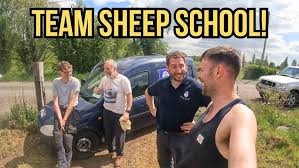 Image result for Teamsheep