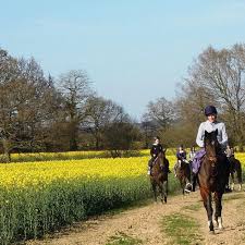 Image result for Weybridge Equestrian Centre