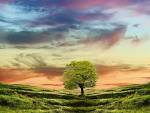 1600x1200 Comfortably Numb desktop wallpapers and stock photos